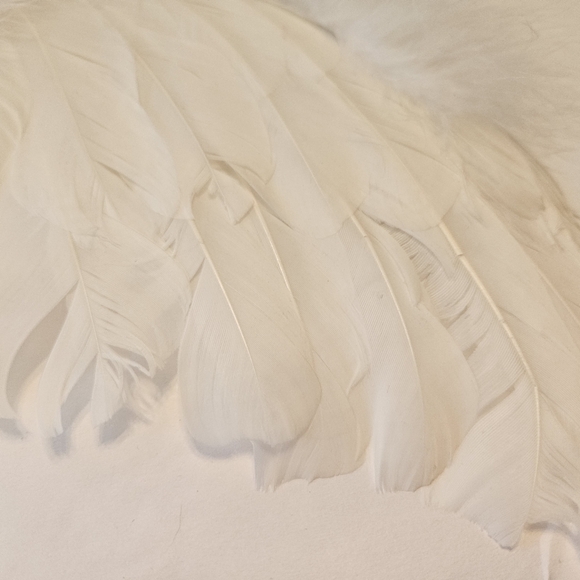 White feather wings - Picture 4 of 8